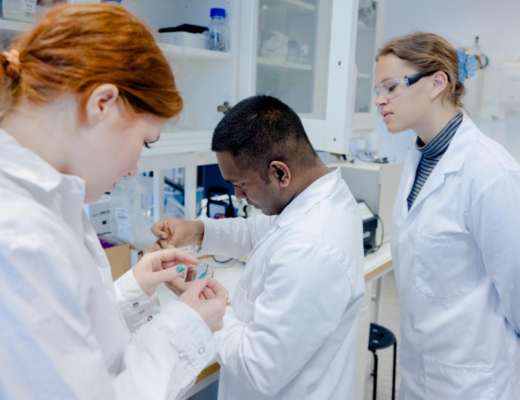Three students in laboratory